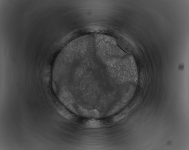 X0000100840413200807180925