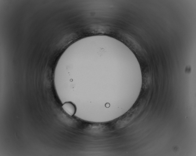 X0000100840414200807180925