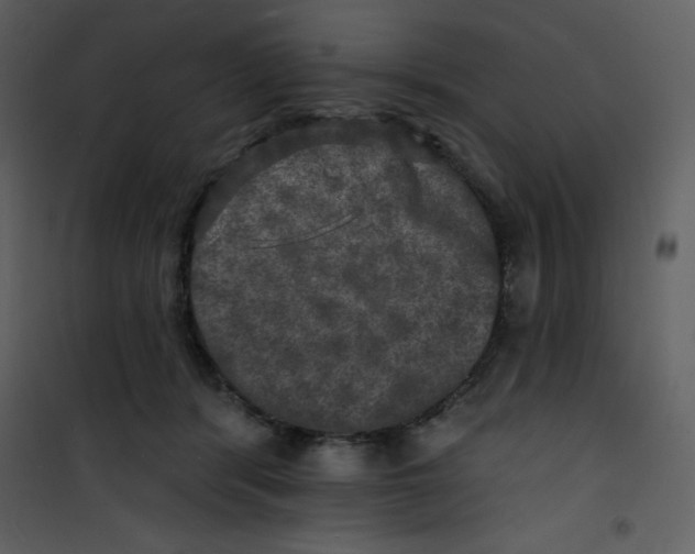 X0000100840416200807180925