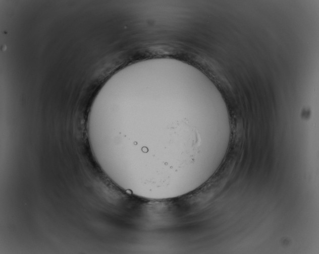 X0000100840418200807180925