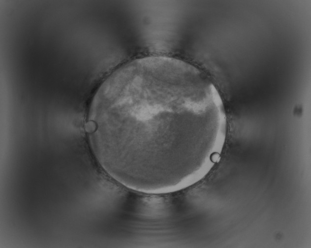 X0000100840419200807180925