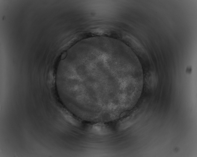 X0000100840420200807180925