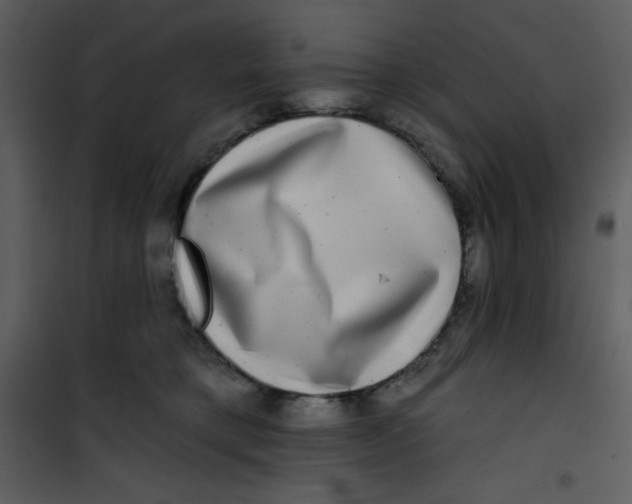 X0000100840421200807180925