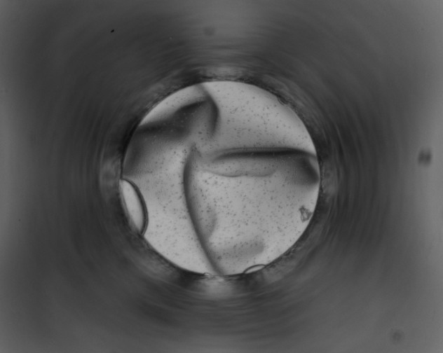 X0000100840425200807180925