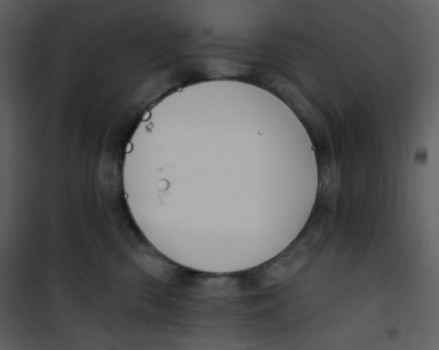 X0000100840426200807180925