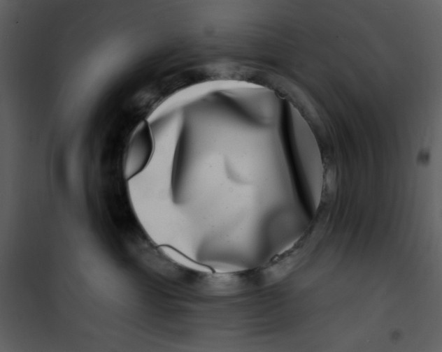 X0000100840429200807180925