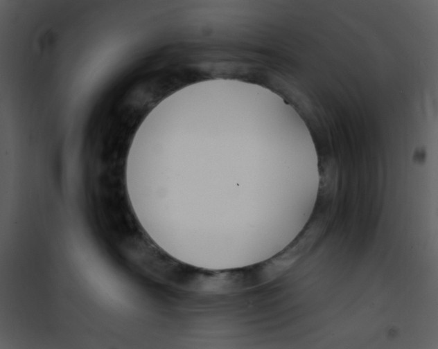 X0000100840430200807180925