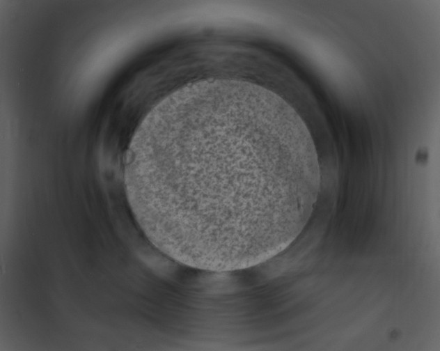 X0000100840431200807180925