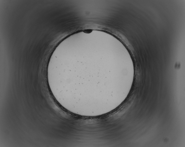 X0000100840433200807180924