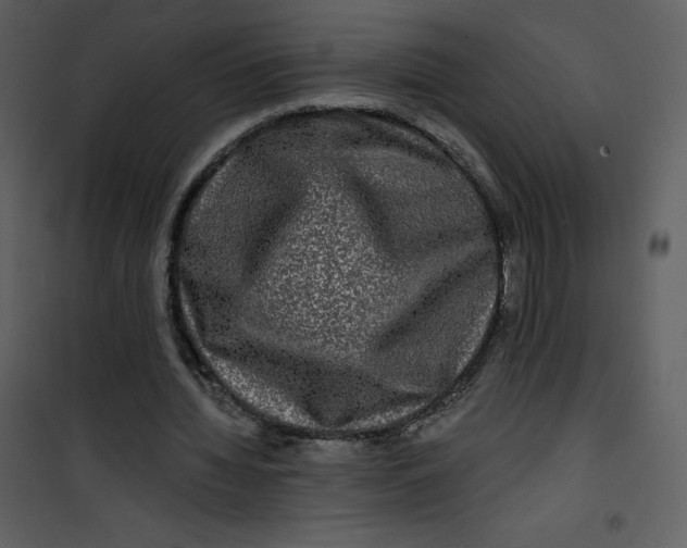 X0000100840436200807180924