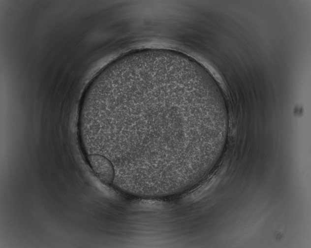 X0000100840437200807180924