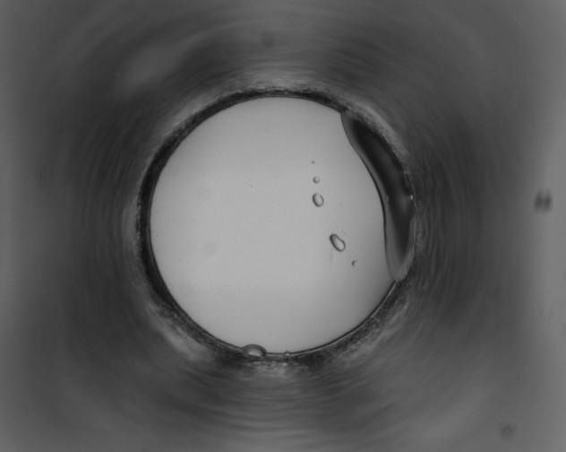 X0000100840439200807180924