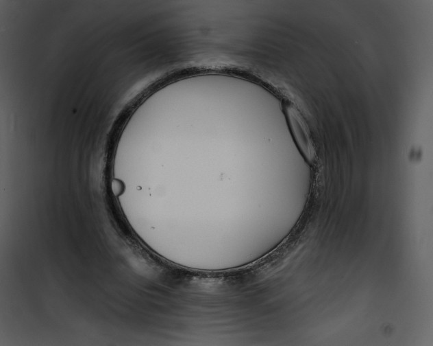 X0000100840440200807180924