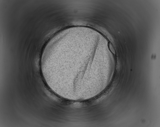 X0000100840441200807180924