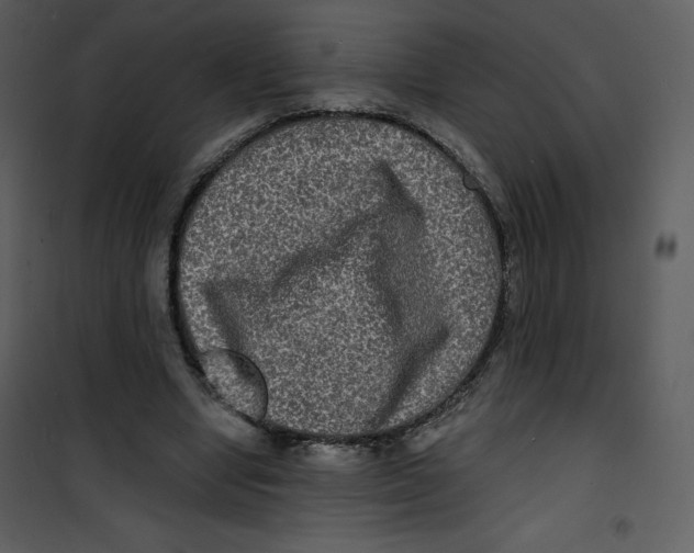 X0000100840442200807180924