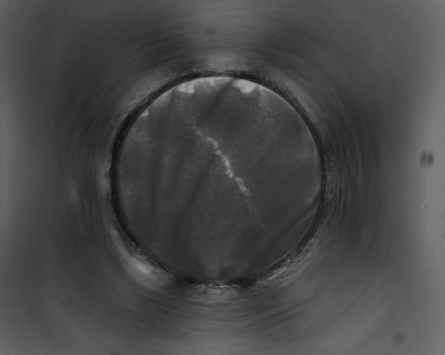 X0000100840443200807180924