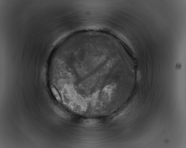 X0000100840444200807180924