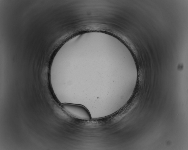 X0000100840445200807180924