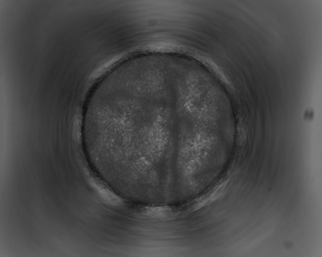 X0000100840446200807180924