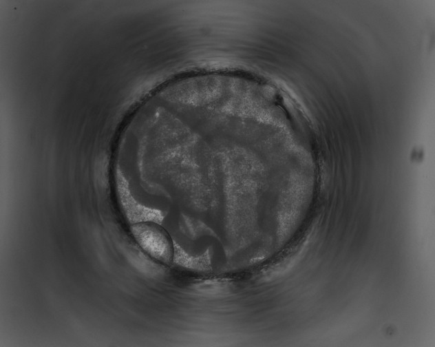 X0000100840447200807180924