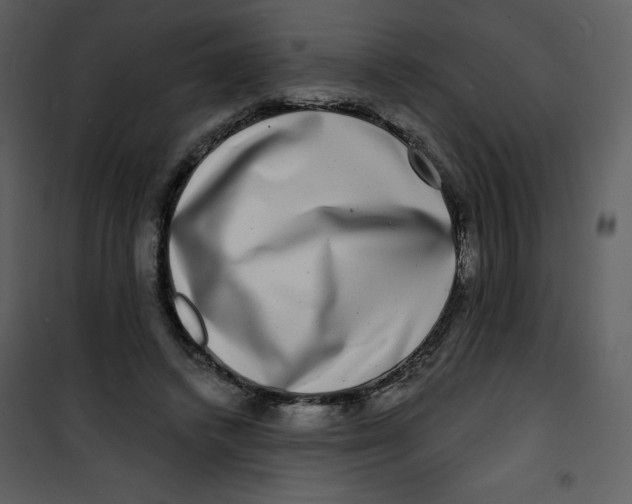 X0000100840448200807180924