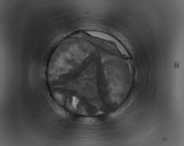 X0000100840449200807180924