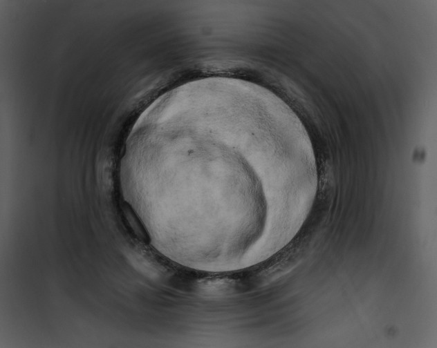 X0000100840452200807180924