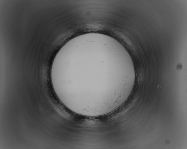 X0000100840455200807180924