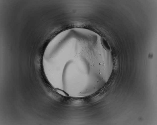 X0000100840456200807180924