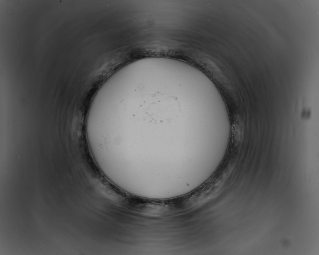 X0000100840458200807180924