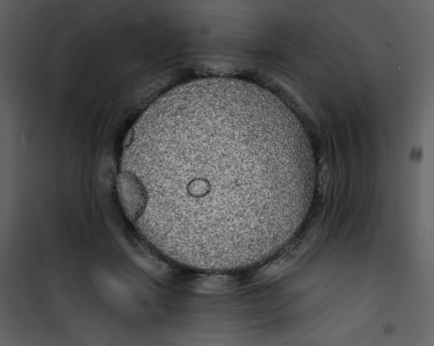 X0000100840459200807180924