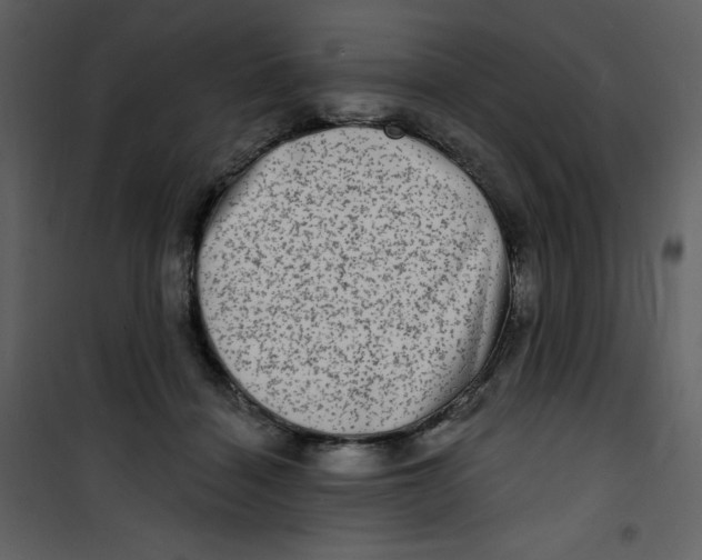 X0000100840460200807180924