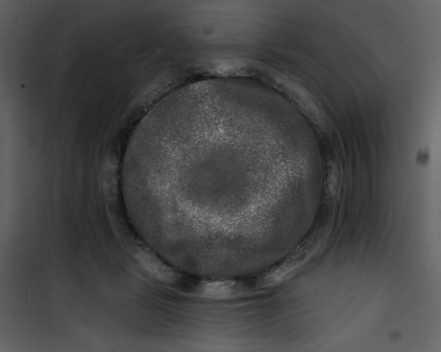 X0000100840461200807180924