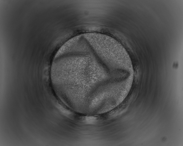 X0000100840462200807180924