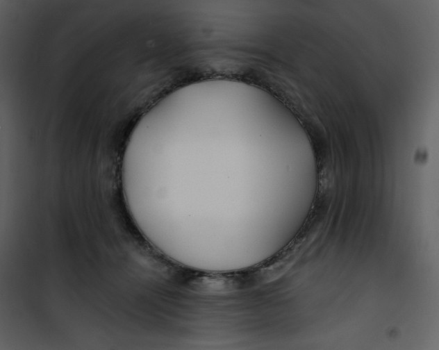 X0000100840464200807180924