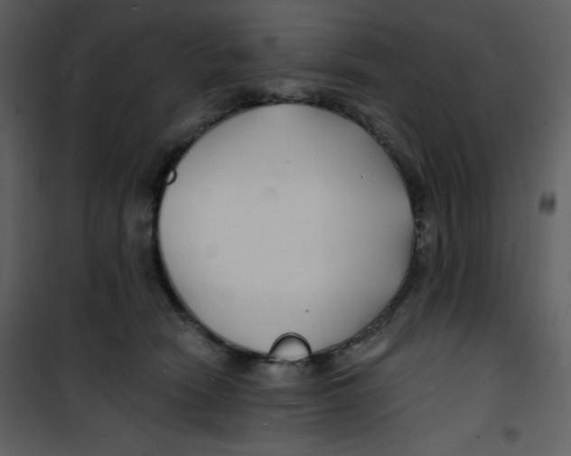 X0000100840466200807180924