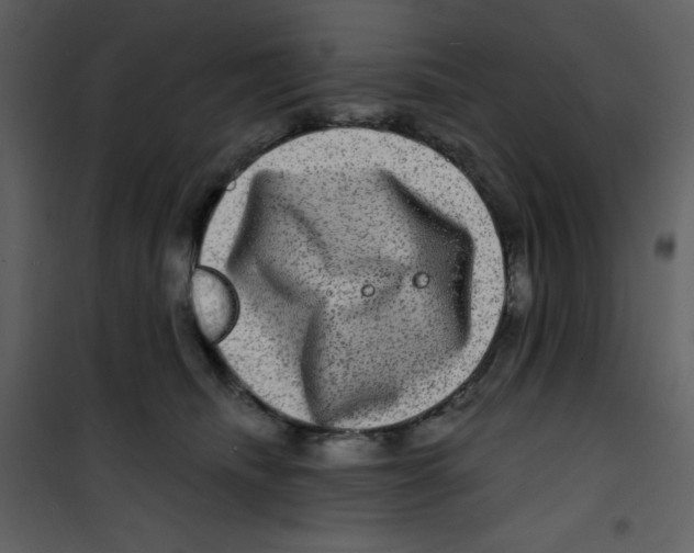 X0000100840468200807180924