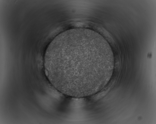 X0000100840469200807180924