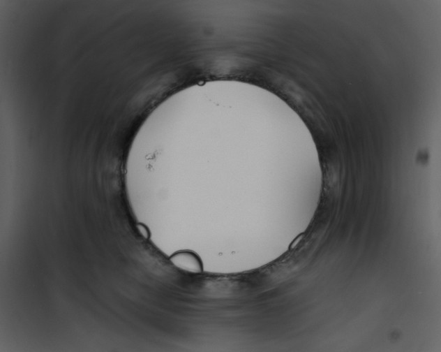 X0000100840470200807180924