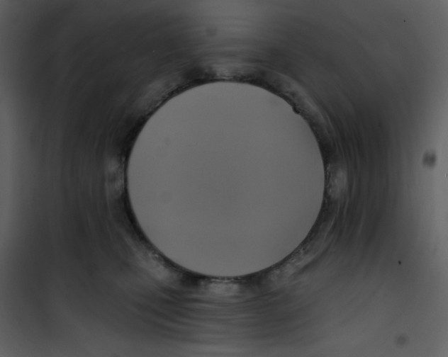 X0000100840471200807180924