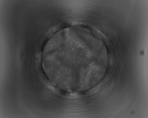 X0000100840475200807180924