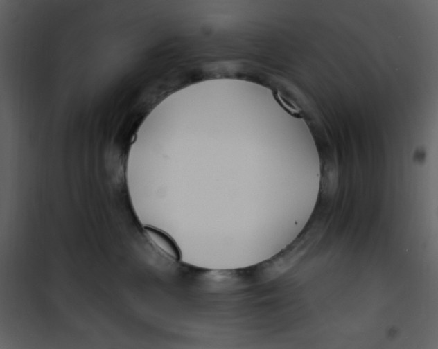 X0000100840477200807180924