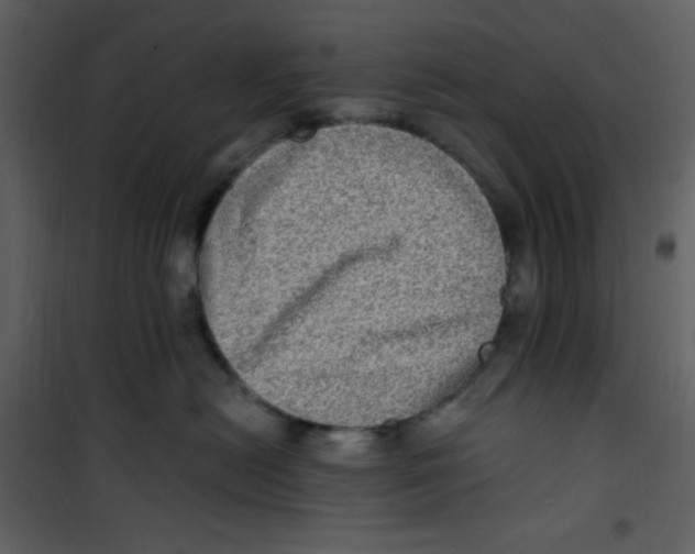 X0000100840478200807180924