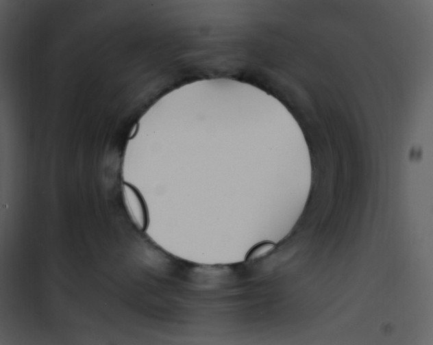 X0000100840480200807180924