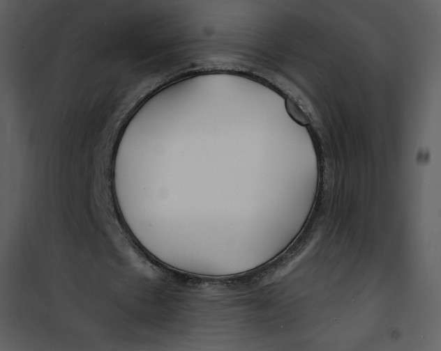 X0000100840481200807180924