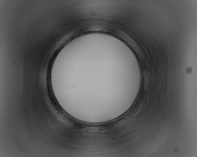 X0000100840482200807180924