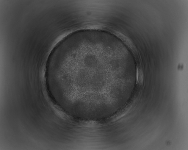 X0000100840483200807180924