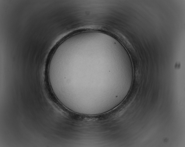 X0000100840484200807180924