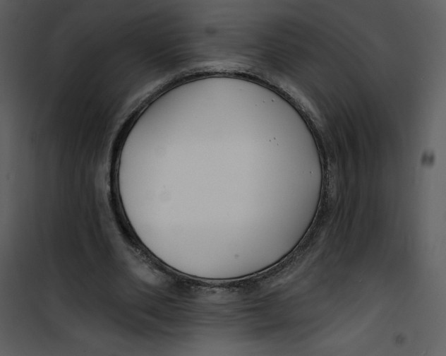 X0000100840486200807180924