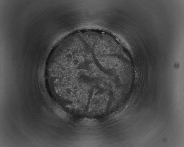 X0000100840487200807180924